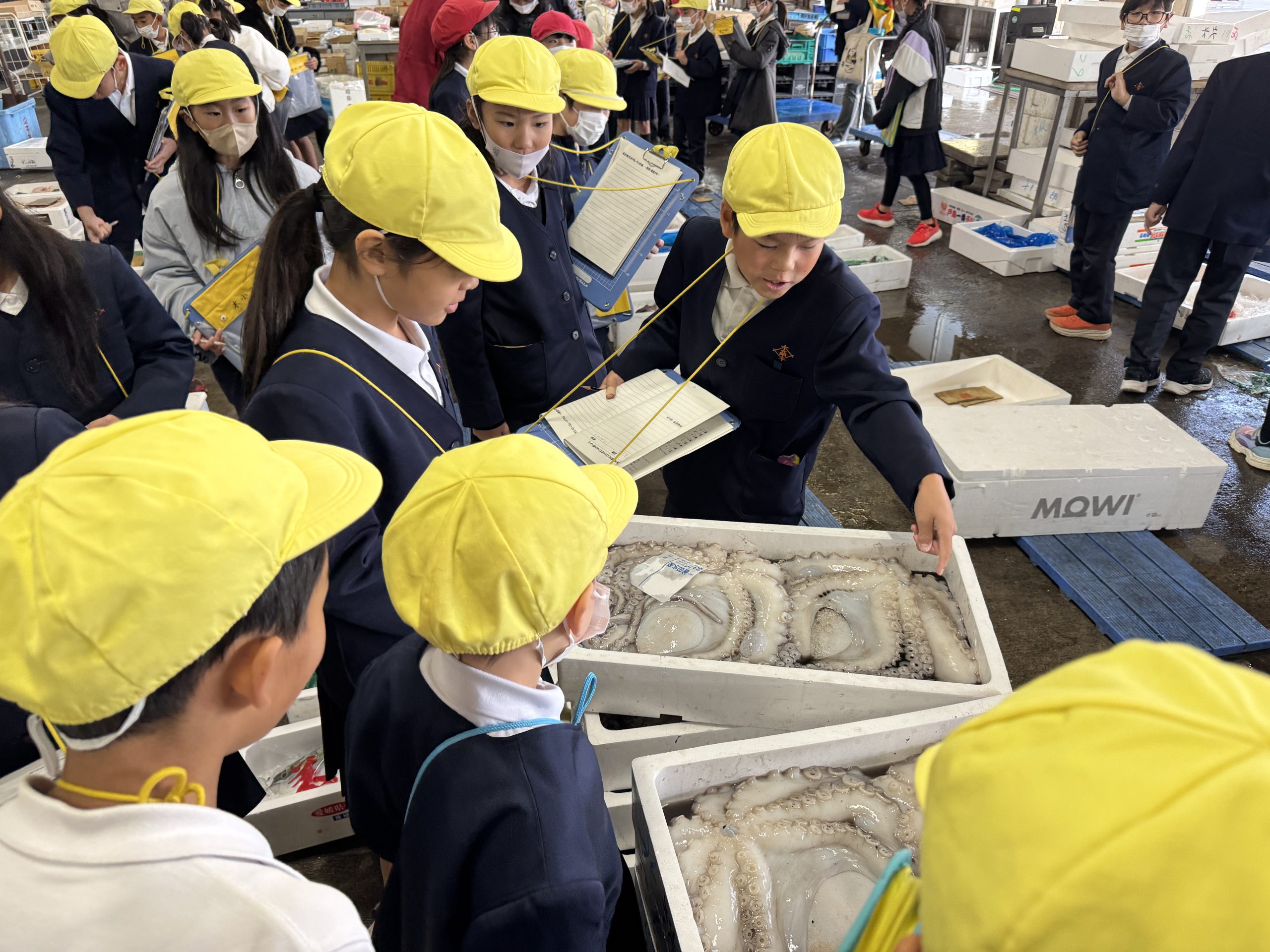 校外学習（長浜卸売市場、ヤンマーミュージアム）に行きました