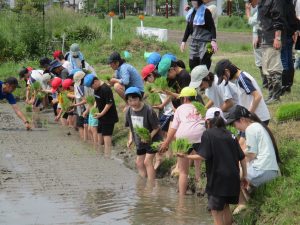 5年生 農業体験を行いました