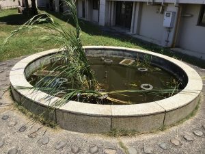 学びの池をビオトープ化する作業をしていただきました